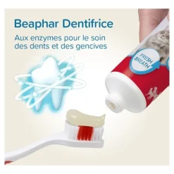 Beaphar Brosse à dents et dentifrice Chien Chat