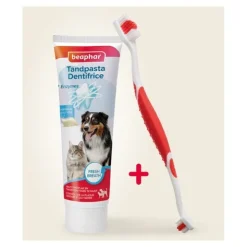 Beaphar Brosse à dents et dentifrice Chien Chat