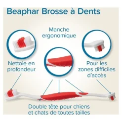 Beaphar Brosse à dents et dentifrice Chien Chat