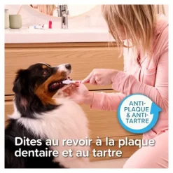 Beaphar Brosse à dents et dentifrice Chien Chat