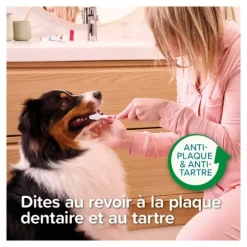 Beaphar Dentifrice chien chat Haleine fraiche