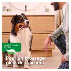 Beaphar Dentifrice chien chat Haleine fraiche