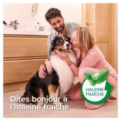 Beaphar Dentifrice chien chat Haleine fraiche