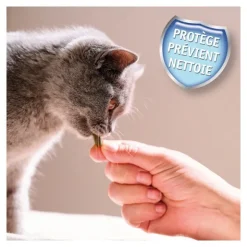 Beaphar friandises dentaires pour chat Dental Bits