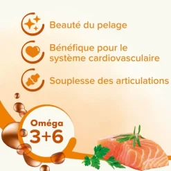 Beaphar huile de saumon