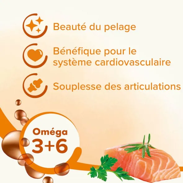 Beaphar huile de saumon