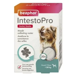 Beaphar IntestoPro comprimés chien et chat