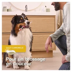 Beaphar Kit dentaire chiot