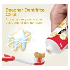 Beaphar Kit dentaire chiot