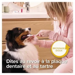 Beaphar Kit dentaire chiot