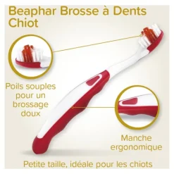 Beaphar Kit dentaire chiot