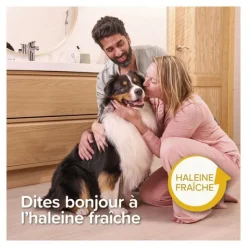 Beaphar Kit dentaire chiot