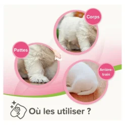 Beaphar Lingettes nettoyantes pour Chien et Chat