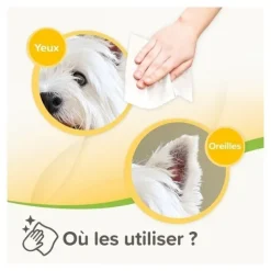 Beaphar Lingettes nettoyantes pour Chien et Chat