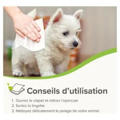 Beaphar Lingettes nettoyantes pour Chien et Chat