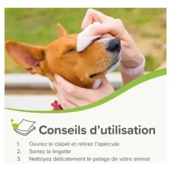 Beaphar Lingettes nettoyantes pour Chien et Chat