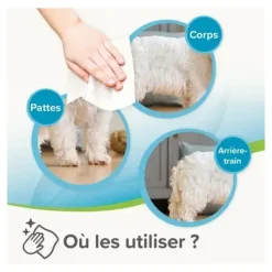 Beaphar Lingettes nettoyantes pour Chien et Chat