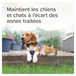 Beaphar Répulsif chat chien en granulés Keep Off Outdoor