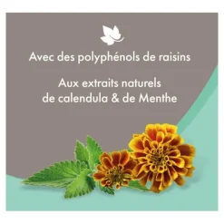 Beaphar Shampooing anti démangeaisons pour chien