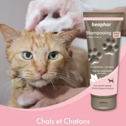 Beaphar Shampooing chat et chaton