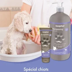 Beaphar Shampooing chiot
