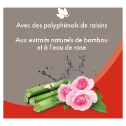 Beaphar Shampooing sec pour chat