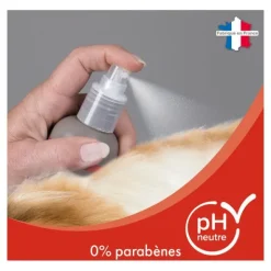 Beaphar Shampooing sec pour chat