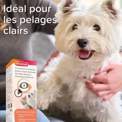 Beaphar solution traces de larmes
