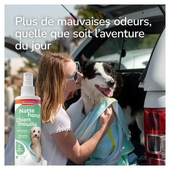 Beaphar Spray Chien mouillé