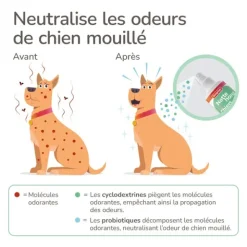Beaphar Spray Chien mouillé