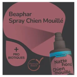 Beaphar Spray Chien mouillé