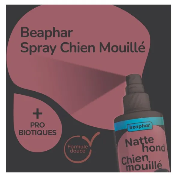 Beaphar Spray Chien mouillé