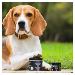 Bella Bestia Masque Kératine chien et chat