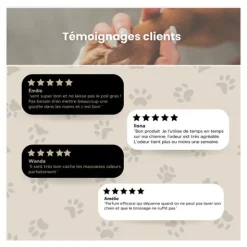 Bella Bestia parfum pour chien et chat Frangipanier