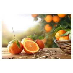 Berocca Energie Pro B12 unidoses