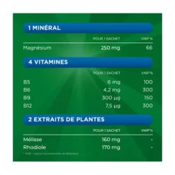 Berocca magnésium sachets