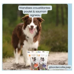 BF Petfood Friandises pour chien à l'agneau