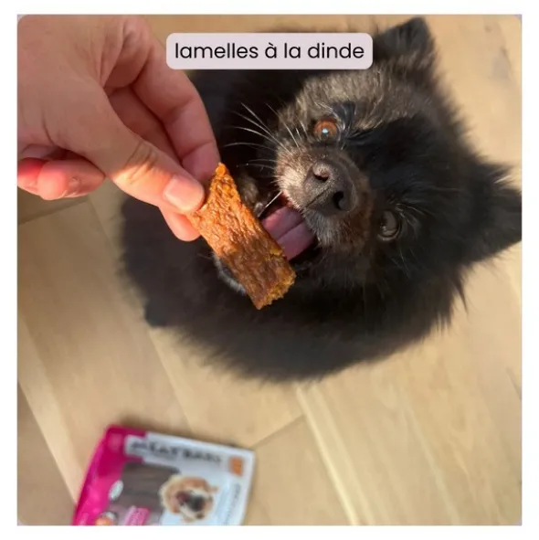 BF Petfood Lamelles de viande