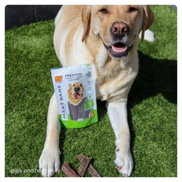 BF Petfood Lamelles de viande
