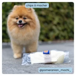 BF Petfood os à mâcher