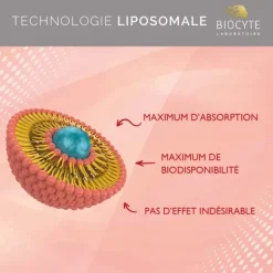 Biocyte Curcumin Forte Liposomal gélules