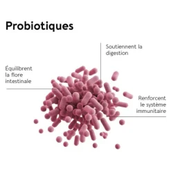 Biocyte Le ventre plat gélules