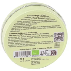 Biofloral Fleurs de Bach gummies enfant Bon élève bio