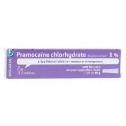 Biogaran Pramocaïne chlorhydrate 1% gel
