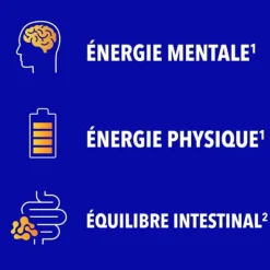 Bion 3 Energie gummies