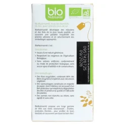 Bio Nutrisanté Chaï Latte détente sachets