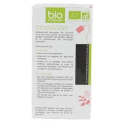 Bio Nutrisanté infusion Detox sachets