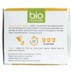 Bio Nutrisanté Infusion Energie citron sachet