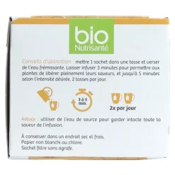 Bio Nutrisanté infusion Pumpkin chaï sachets