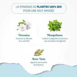 Bio Nutrisanté infusion Sommeil sachets